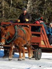 Red Lodge Guest Ranch