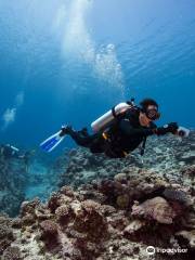 Buccaneer Adventures Niue Dive