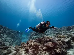 Buccaneer Adventures Niue Dive