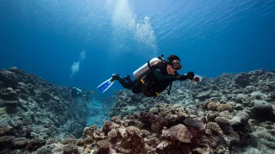 Buccaneer Adventures Niue Dive