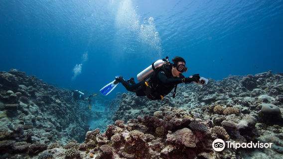 Niue Blue Island Experiences