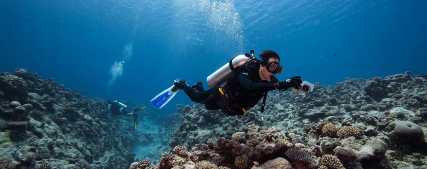 Niue Blue Island Experiences