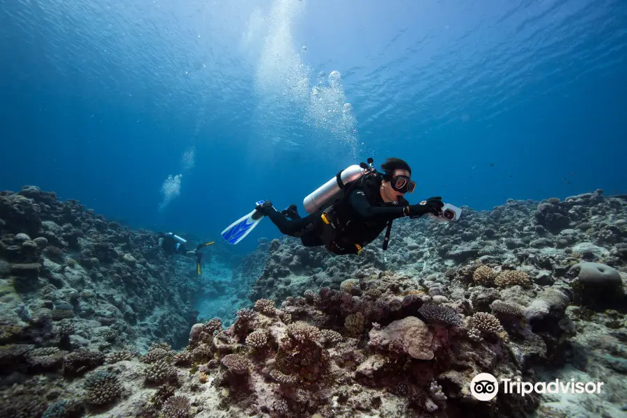 Niue Blue Island Experiences