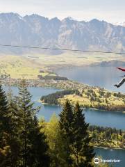 Ziptrek Ecotours生態高空滑索