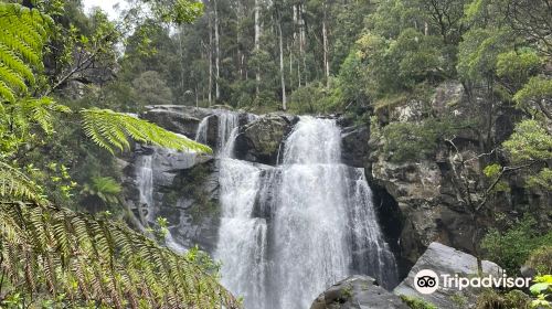 Steavenson Falls