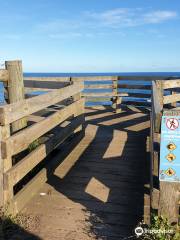 Summerlands Lookout