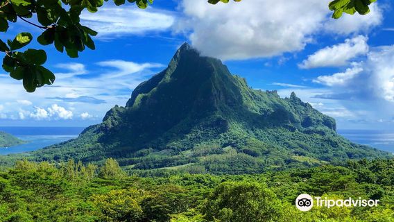 Смотровая площадка на горе Бельведер