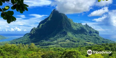 貝爾維德觀景台