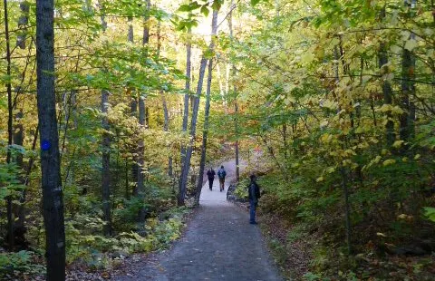 Lookout Trail