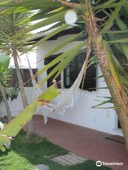 Pura Vida Divehouse