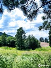 Latah Trail Bike Path