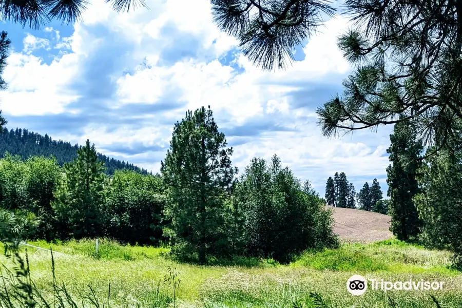 Latah Trail Bike Path