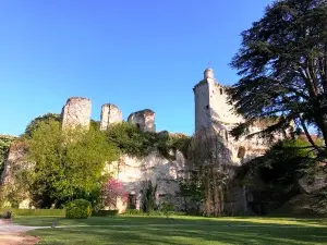 Castle de Vendôme