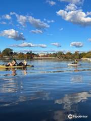 Launceston Kayak Tours