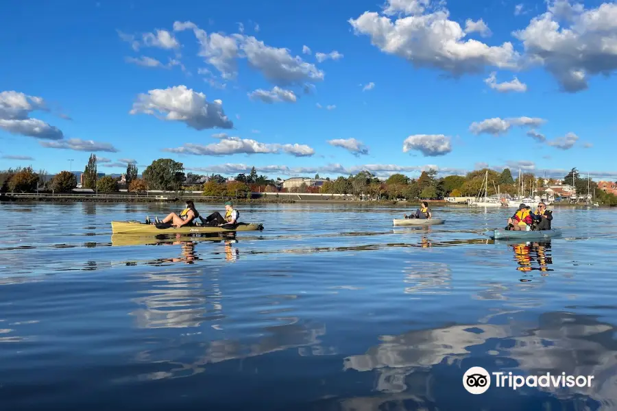 Launceston Kayak Tours