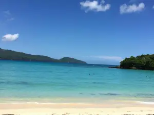 Playa Las Ballenas