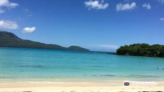 Playa Las Ballenas