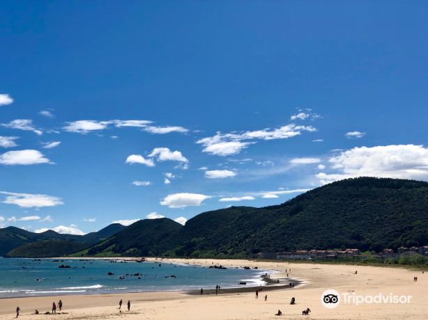 Playa de Trengandin
