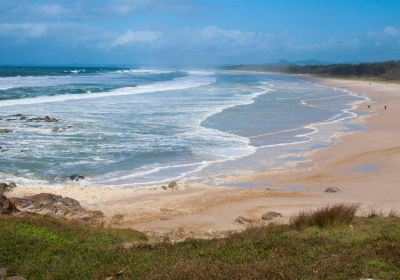 Hastings Point Headland