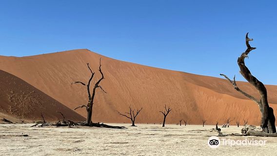 Deadvlei