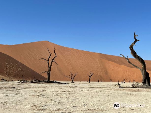 Deadvlei