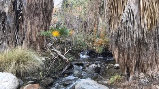 Indian Canyons Hiking Trails