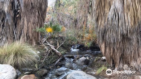 Indian Canyons Hiking Trails