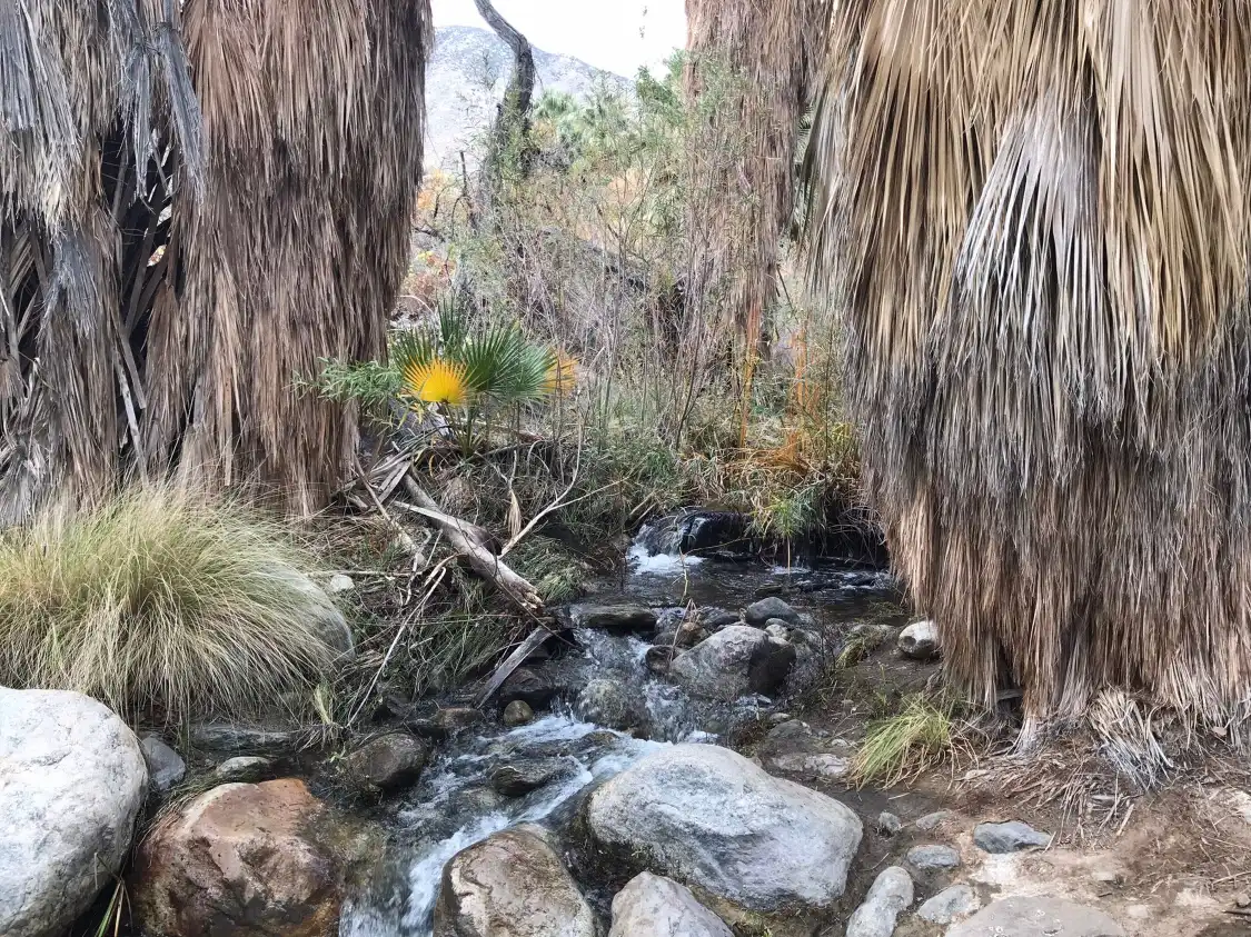 Hotels near Indian Canyons Hiking Trails