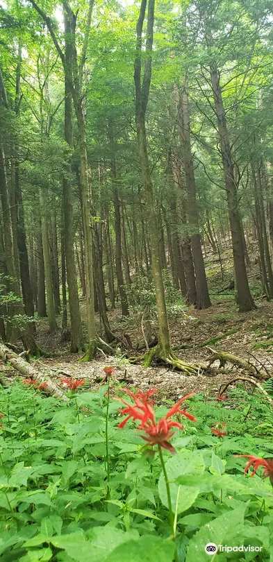 5_New Germany State Park