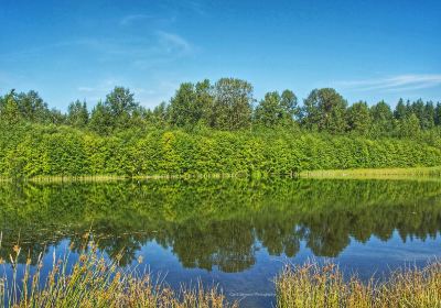 Green Timbers Urban Forest Park