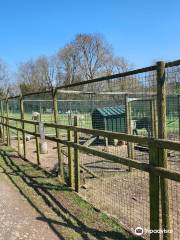 Dwyfor Ranch Rabbit Farm and Animal Park