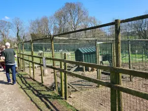 Dwyfor Ranch Rabbit Farm and Animal Park