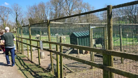 Dwyfor Ranch Rabbit Farm and Animal Park