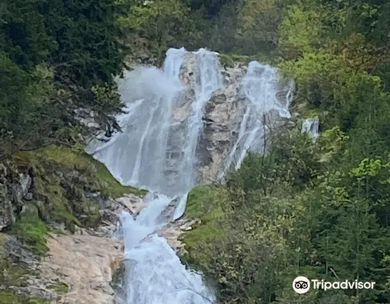 Horses Waterfall