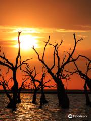 Lago Epecuen