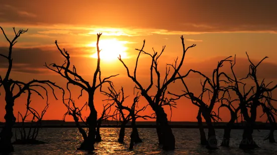 Lago Epecuen