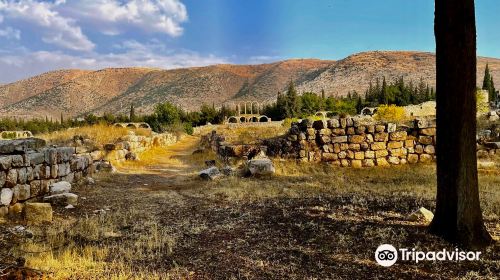 Bekaa Valley