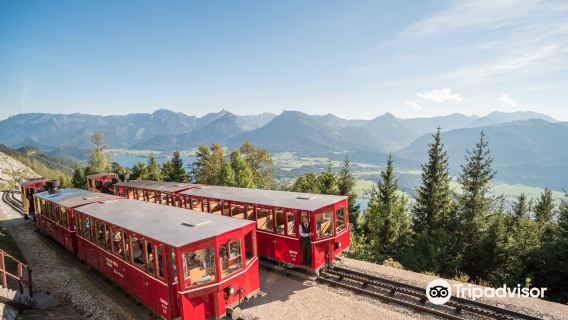 Schafberg Mountain Railway + Schafberg + Wolfgangsee + St. Wolfgang one-day tour