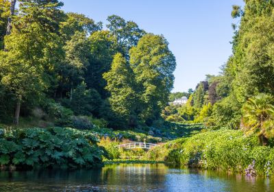 Trebah Garden