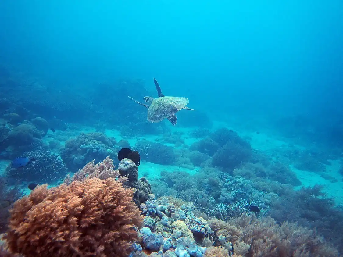 Hotels near Aninuan Beach