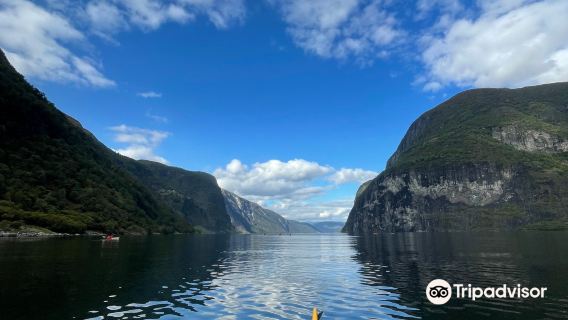 Nordic Ventures AS