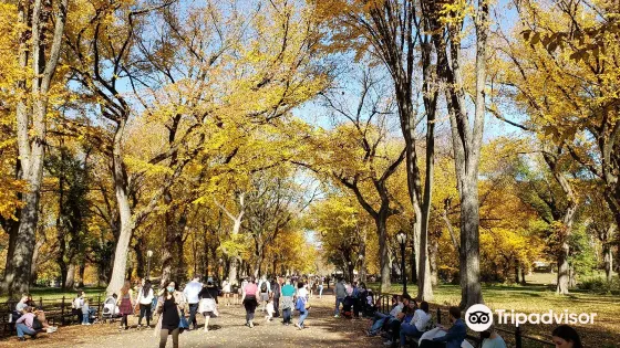 中央公園文學路