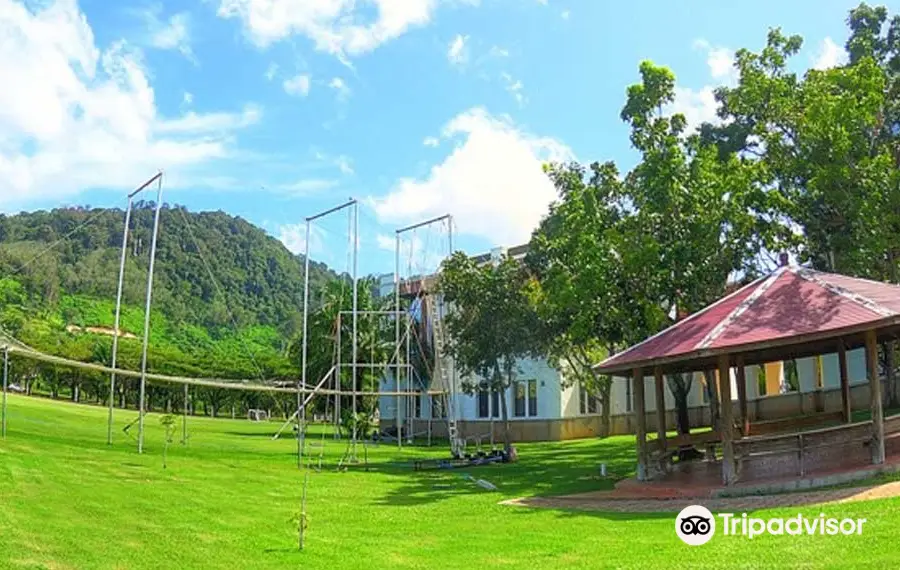 Mid-Air Circus Arts - Flying Trapeze & Aerial Arts Academy