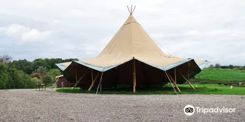 Ditlevsdal Bison Farm