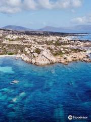 Windsurfing Center Stintino Escursioni Asinara Trips Catamarani