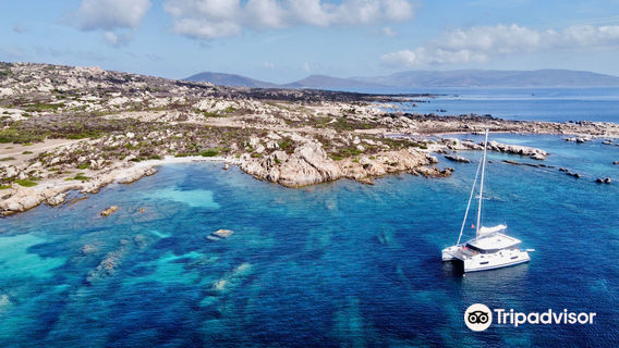 Windsurfing Center Stintino Escursioni Asinara Trips Catamarani