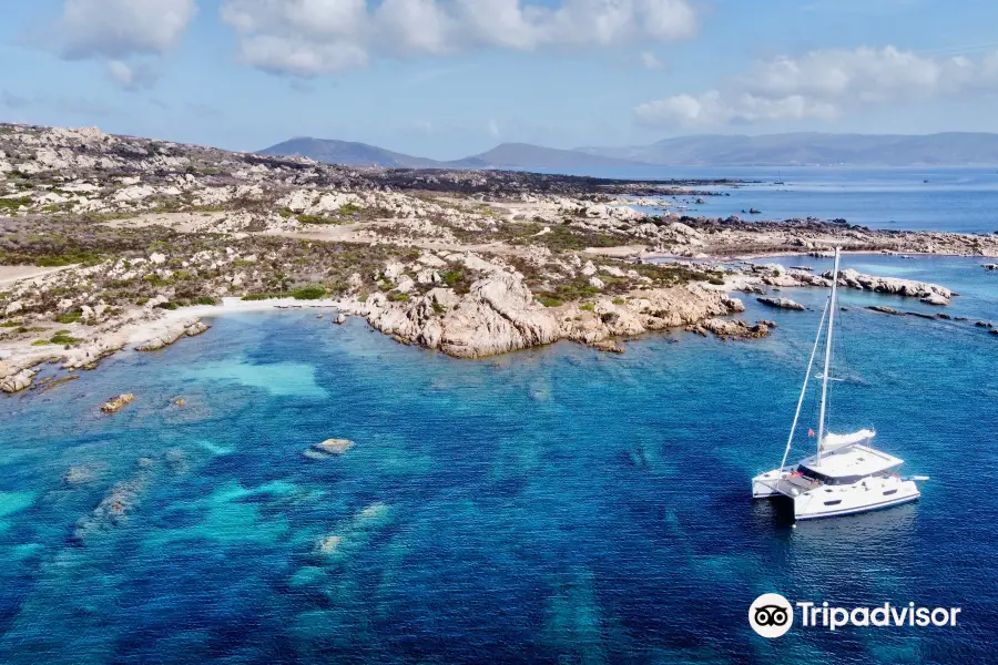 Windsurfing Center Stintino Escursioni Asinara Trips Catamarani