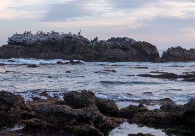 Heisler Park