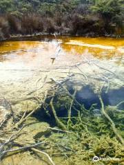 Tokaanu Thermal Pools