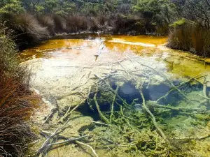 Tokaanu Thermal Pools